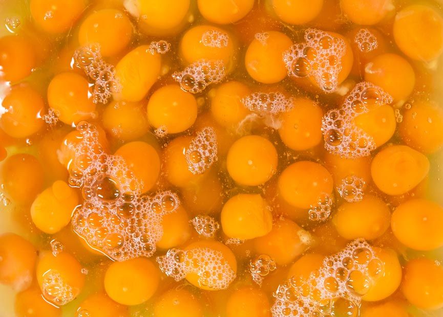 Qualità del cibo | Qualità & Servizi