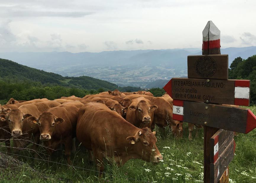 Qualità della filiera | Qualità & Servizi