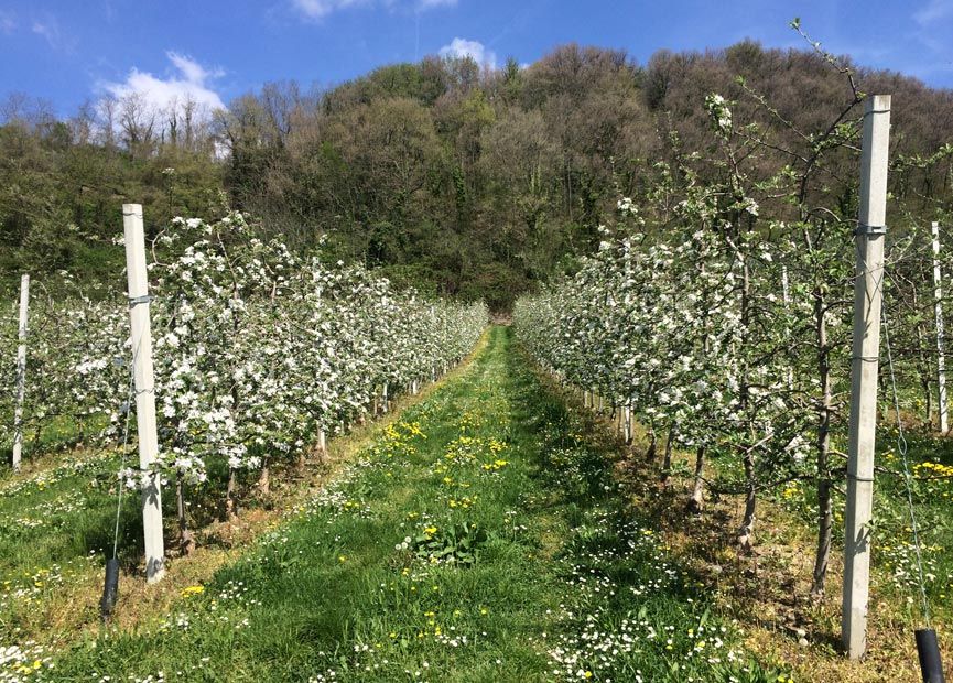 Qualità della filiera | Qualità & Servizi