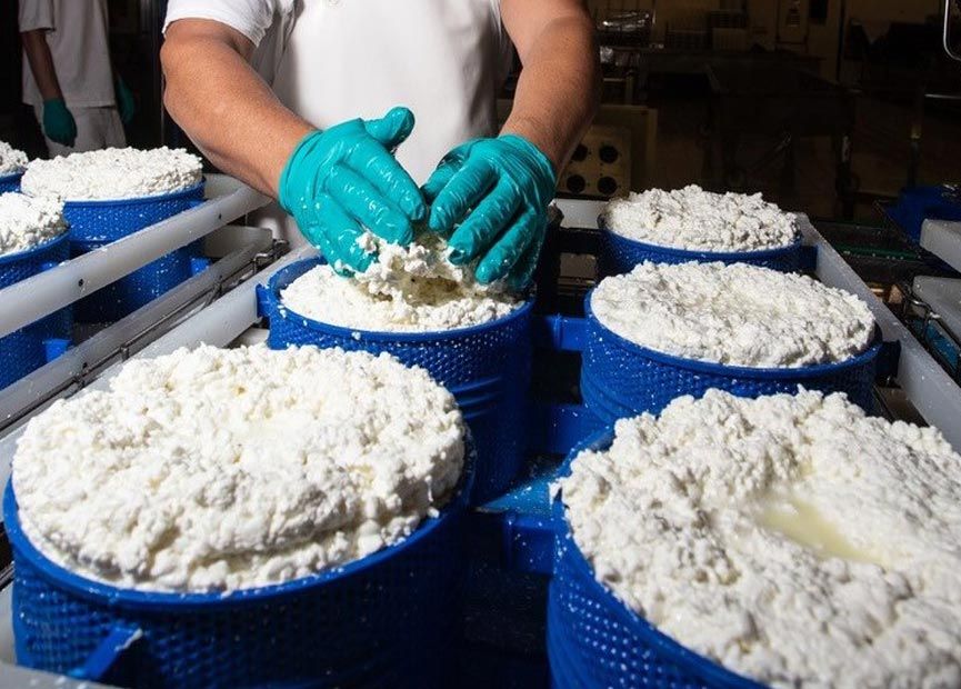 Qualità della filiera | Qualità & Servizi