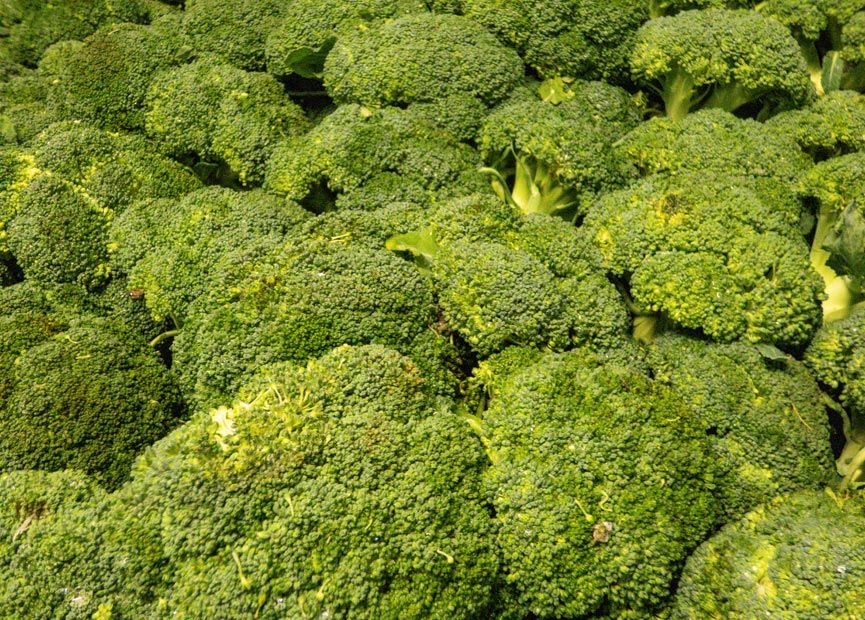 Qualità del cibo | Qualità & Servizi