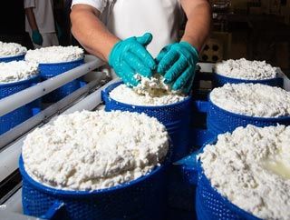 Cibo. Qualità. Territorio. | Qualità & Servizi