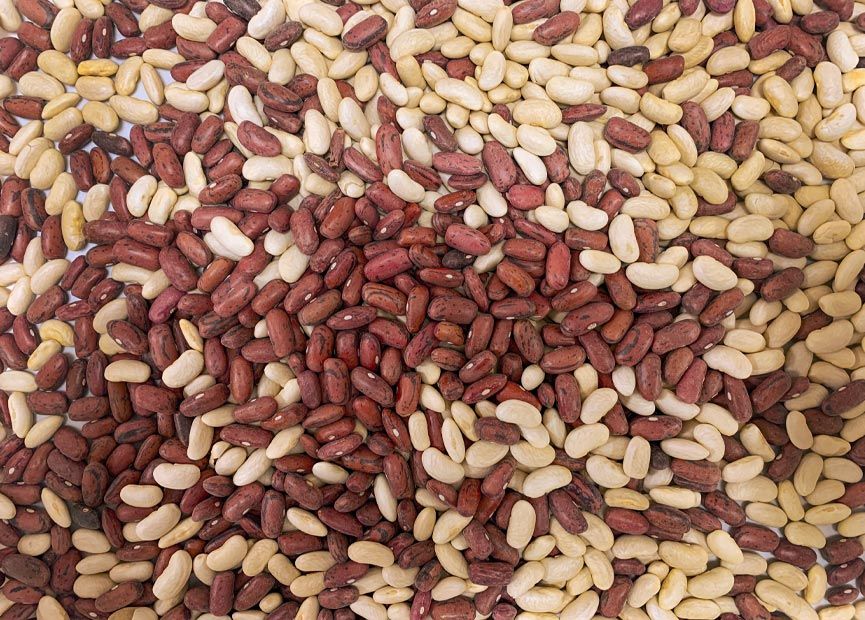 Qualità del cibo | Qualità & Servizi