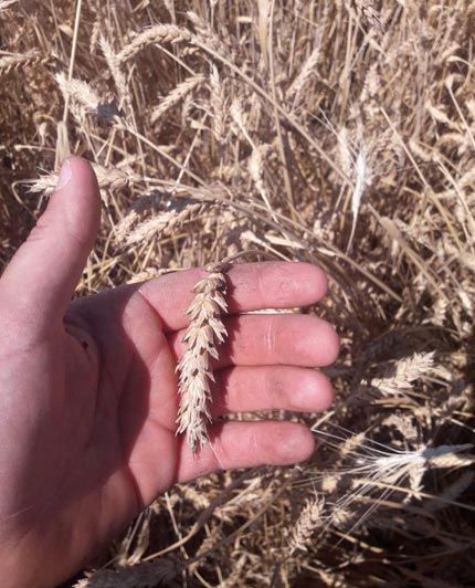Cibo. Qualità. Territorio. | Qualità & Servizi
